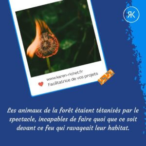 210916 - KR - Insta - histoire de - légende colibri - 3