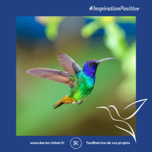 210916 - KR - Insta - histoire de - légende colibri - 7